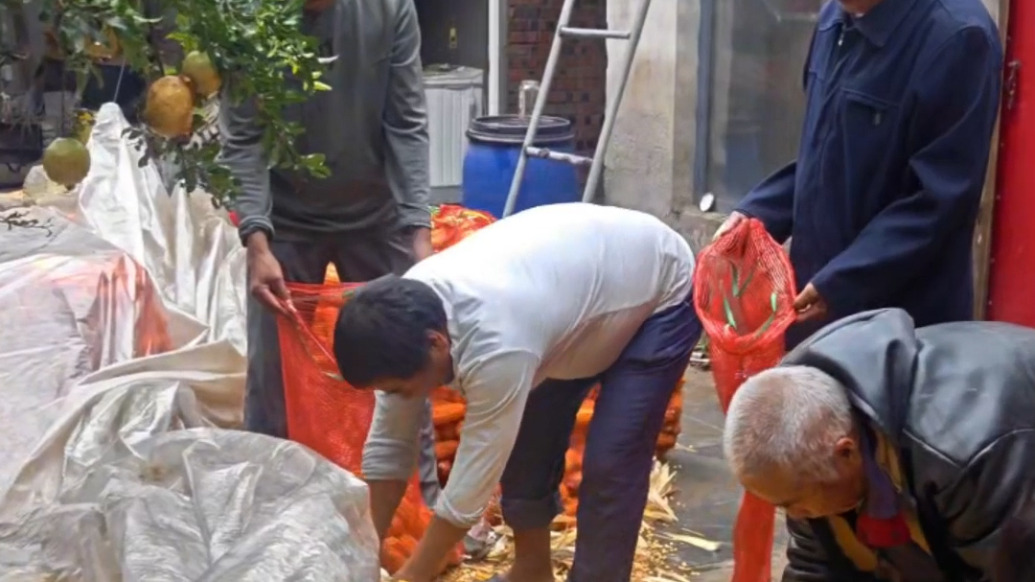 “遠(yuǎn)親不如近鄰”具象化！多名鄰居幫患病男子搶收兩畝多玉米