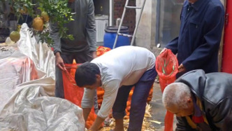 “遠親不如近鄰”具象化！多名鄰居幫患病男子搶收兩畝多玉米