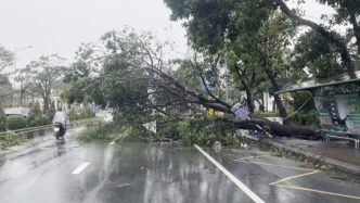 臺風(fēng)“博羅依”在越南登陸，已致9死9傷21失蹤