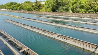 經濟持續增長的情況下，用水總量如何保持穩定？水利部答澎湃