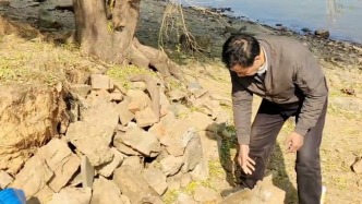“樹保住了，大家都能來乘涼！”連續(xù)16個月，長沙這位嗲嗲每天騎電動車運石頭救樹