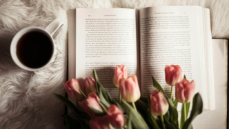 劇本版權轉讓合同中，定金罰則和違約金責任應如何選擇？