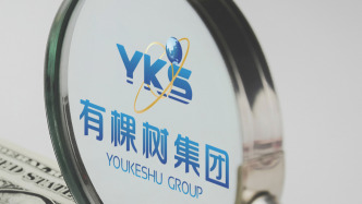 有棵樹三股東被證監(jiān)會立案調查，涉嫌未按規(guī)定披露其他重大信息