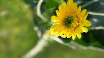 寧夏工商聯(lián)主席何曉勇因病去世，曾任中衛(wèi)副市長等職