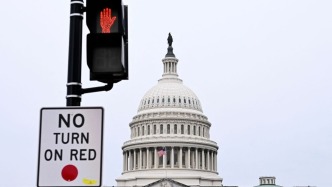 新華時評丨否決政治成美政府“停擺”制度病灶