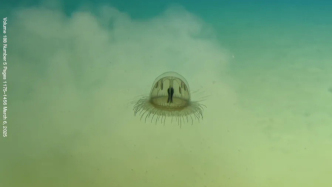 如何平衡教與研？萬米深海“尋寶”歸來，她說“學(xué)生常常能提出珍貴問題”