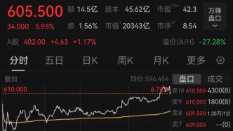 4個(gè)多月累計(jì)漲超130%！寧德時(shí)代港股股價(jià)沖破600港元大關(guān)