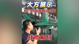 殲-35與殲-35A機(jī)庫(kù)首度公開，聽總師揭秘“海天雙雄”