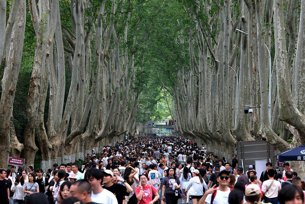 异地恋能否修成正果:八字合婚www.jixiangqiming.vip：-“苏超”引爆南京双节文旅，5天游客数已达去年长假九成