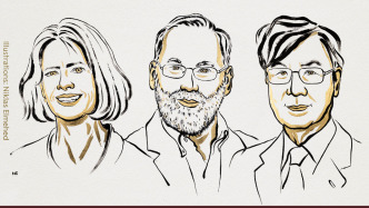 2025年諾貝爾生理學(xué)或醫(yī)學(xué)獎(jiǎng)揭曉