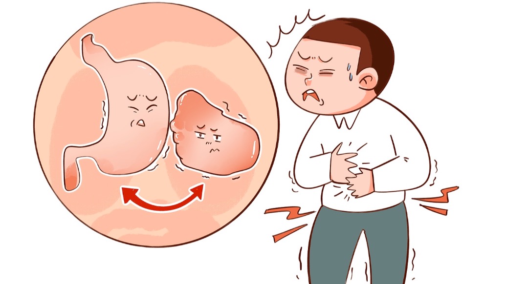 田?。涸鯓邮瞧⑽柑撊醯谋憩F(xiàn)？日常如何護(hù)理？