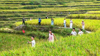 鄉(xiāng)村旅游持續(xù)火熱 魅力田園活力無限
