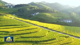 新思想引領(lǐng)新征程丨繪就鄉(xiāng)村全面振興壯美畫卷