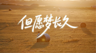 草原無聲，電商有路：拼多多“西進”下的羊毛氈敘事