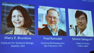 一文讀懂2025諾貝爾醫學獎的緣起、人物、故事、原理、價值和前景