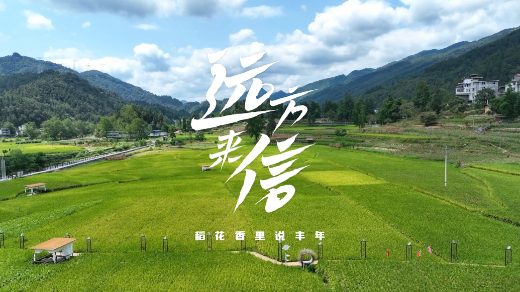 世界郵政日 | 遠(yuǎn)方來信:稻花香里說豐年