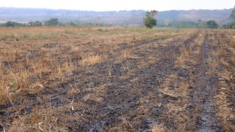 最高法发布4件依法审理破坏耕地犯罪典型案例，涉非法压占等