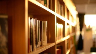 夜讀｜圖書(shū)館里的菲迪雅絲