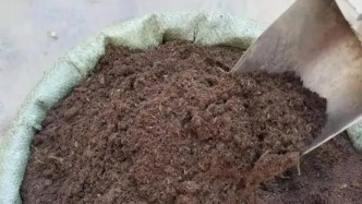 典型案例：在黑土地上非法采挖草炭土出售被判“非法采礦罪”