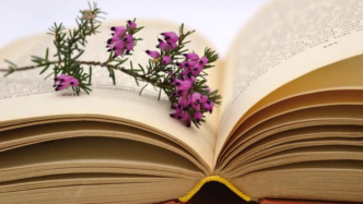 約定編劇能力不足無法完成創作可以解約，“能力不足”如何證明？