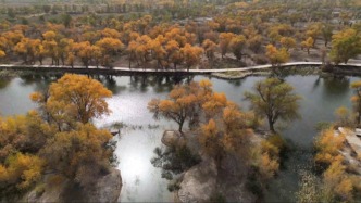十一Vlog丨新疆喀什巴楚紅海景區(qū)：胡楊濕地沙漠共生，一步一景皆入畫