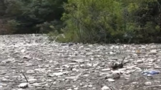 洛陽環(huán)境局回應“水庫現(xiàn)大量垃圾漂浮”：局部存在，正清理并采水樣送檢
