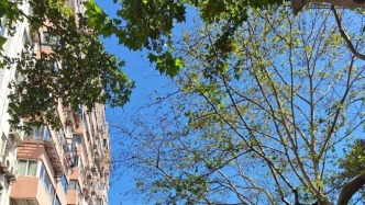 上海今夏已持續(xù)152天居歷史第四，未來三天還可能刷新另一項記錄