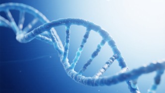 复旦团队创新基因编辑技术，视网膜变性等眼病有望“一针式”干预