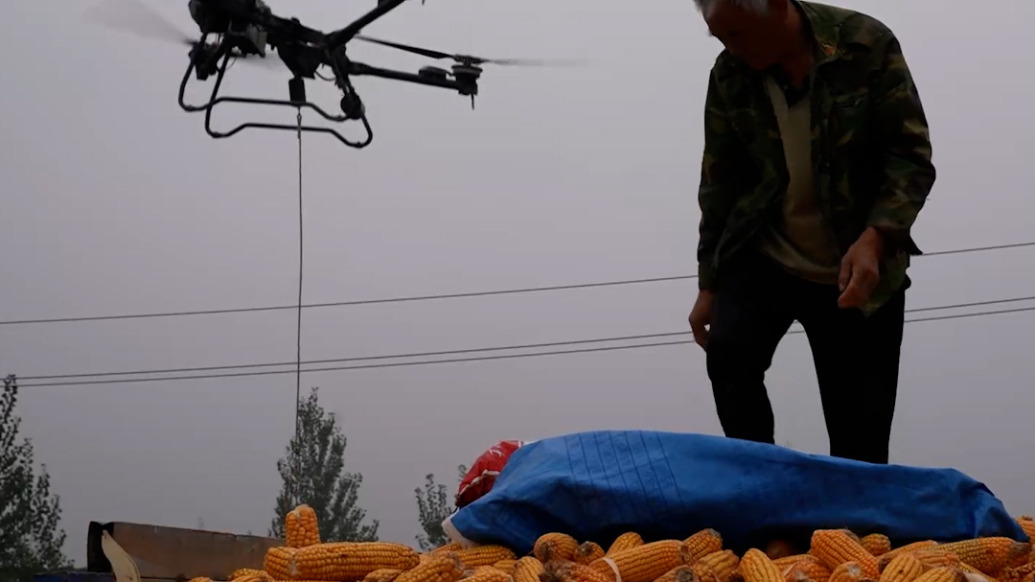 無人機變身空中“搬運工”，玉米收獲有了新幫手