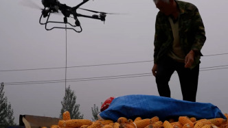 無人機變身空中“搬運工”，玉米收獲有了新幫手