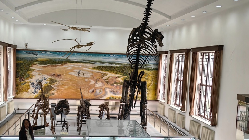 感知幸福中国吉林行｜30多位境内外大V走进吉大地质博物馆