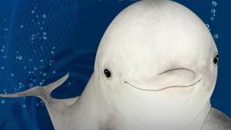 青春華章丨邂逅游弋的“長(zhǎng)江的微笑”