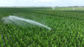 專家：氣候惡化將長期持續(xù)，加強農(nóng)業(yè)適應(yīng)能力建設(shè)勢在必行