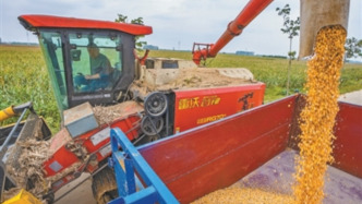 人民日報直擊秋收一線：收獲情況如何？高水分糧食搶收后怎么辦？