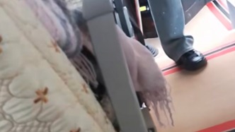 云南迪庆整治购物场所与旅行社、导游勾结侵害游客权益等问题