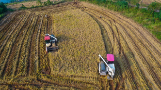 劉國(guó)中：堅(jiān)決克服連陰雨不利影響，全力以赴抗災(zāi)奪秋糧豐收