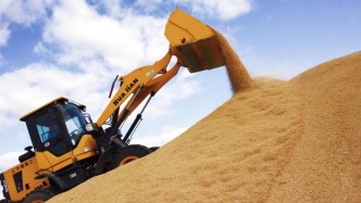 “十四五”時期我國年均糧食收購量在4億噸以上