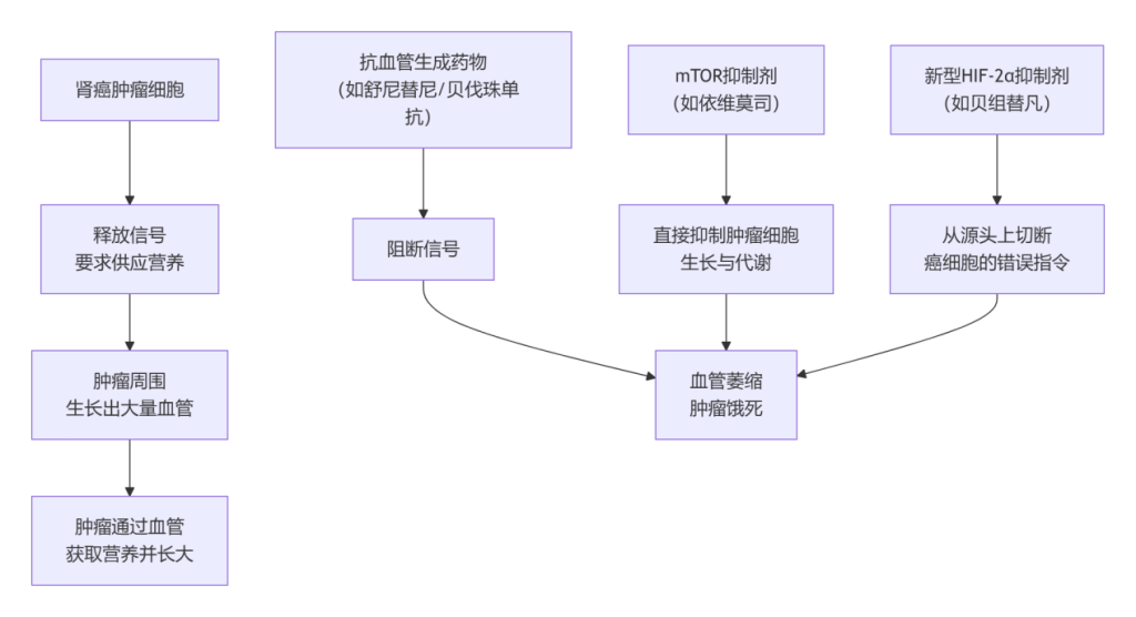 大运姻缘:在线测算易经八卦运势www.jixiangqiming.vip：-科普｜靶向及免疫治疗是如何抗击肾癌的？家属该如何配合？
