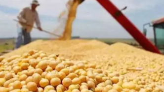 玉渊谭天丨美国或失1600万吨大豆订单