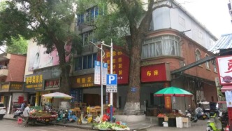 嫌220年古樹擋了自家房屋采光，廣西一男子多次給樹木投毒被采取刑事強(qiáng)制措施