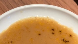 味千拉面碗里漂著很多黑色小蟲子？深圳寶安區(qū)市監(jiān)局：跟進調(diào)查處理