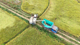兩部門聯(lián)合發(fā)布連陰雨和農(nóng)田漬澇災害風險預警