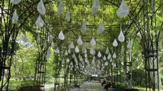 在上海復(fù)興公園下一場(chǎng)不會(huì)被淋濕的“雨”，設(shè)計(jì)師講述如何“制造浪漫”