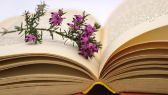 《民法典》中是否具有可以作為知情權(quán)行使依據(jù)的條款？