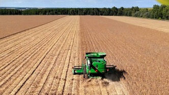 全國秋糧收獲進入高峰，進度過六成