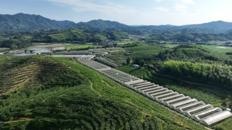 建宁数字兴农实践①｜建起智慧田园，水果和莲子改变农民生活