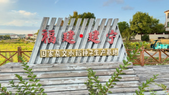 建宁数字兴农实践②｜从种子到餐桌，数字化让农业产业链不断延伸