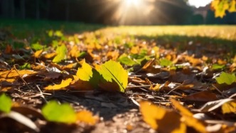 應(yīng)急管理部：預(yù)計(jì)秋季24個(gè)省份階段性火險(xiǎn)等級較高