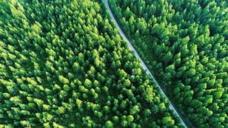 森林覆蓋率從5%到近14%，“三北”工程榮獲“全球技術成就林業(yè)獎”