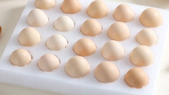 上海消保委實(shí)測：不同價(jià)格的雞蛋，基礎(chǔ)營養(yǎng)差別不大